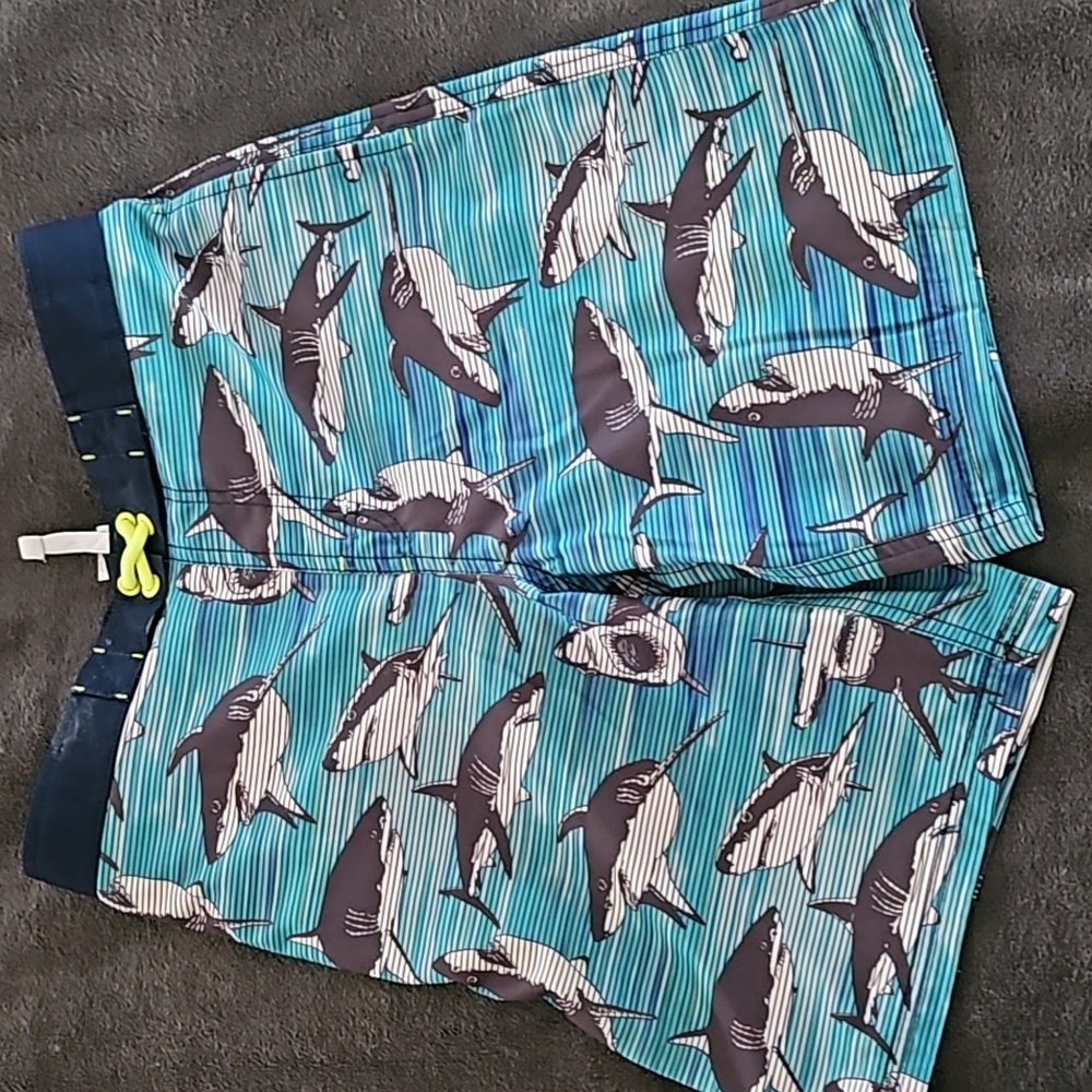 Boy's Bathing Suit